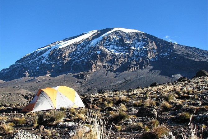 Mt Kilimanjaro Climbing; 7 Days Lemosho Route