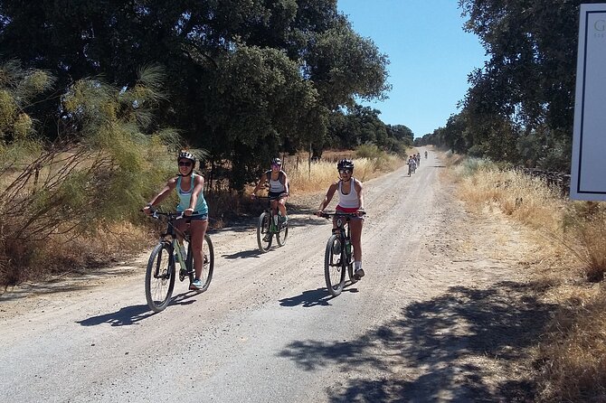 MTB (Self-Guided) Setenil De Las Bodegas – 30KM Easy