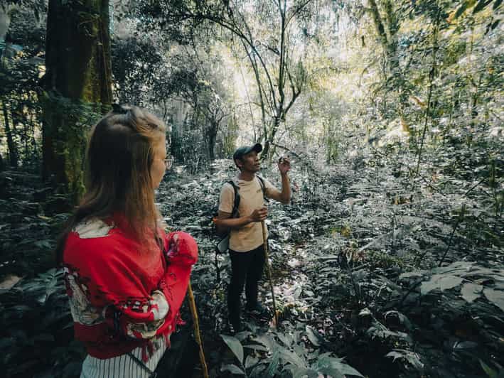 Munduk: Rainforest Hiking, Canoeing And Waterfall Tour