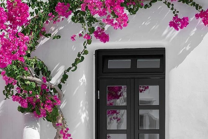 Mykonos Shore Excursion: Private Old Town Walking Tour