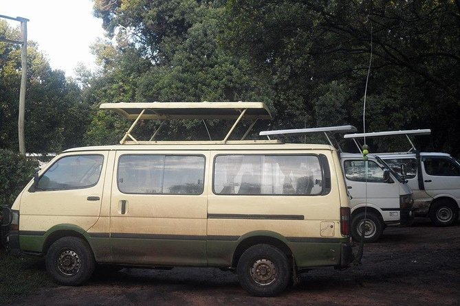 Nairobi National Park 1.p.m Game Drive