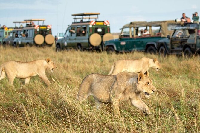 Nairobi National Park Group Tour