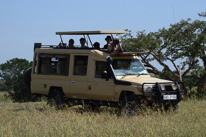 Nairobi Park Wildlife Safari
