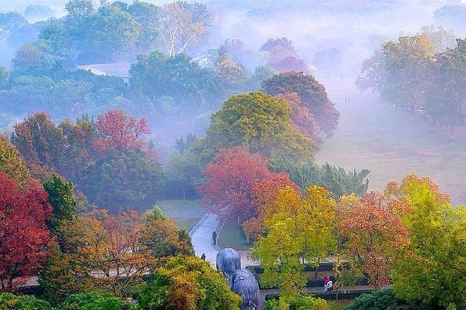 Nanjing City Private Customized Day Tour With Lunch