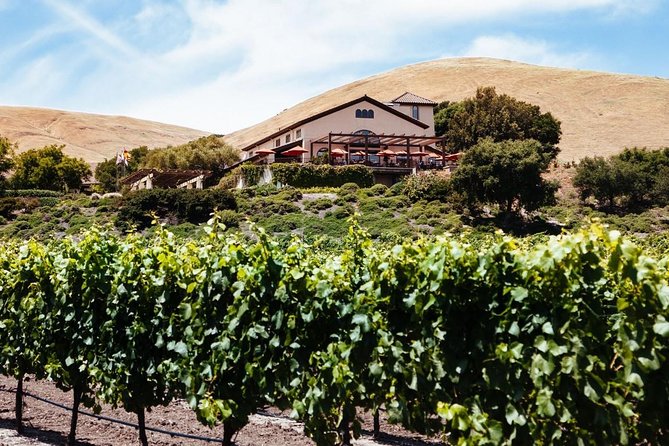 Napa & Sonoma – 8hr-Private Wine Tour & Custom Concierge.XL SUV