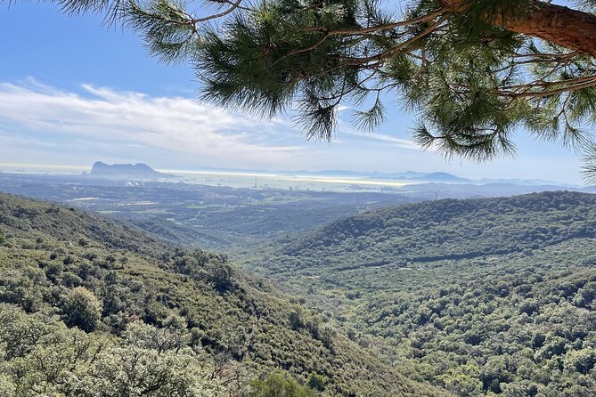 2 Best Guided Tours In Andalucia
