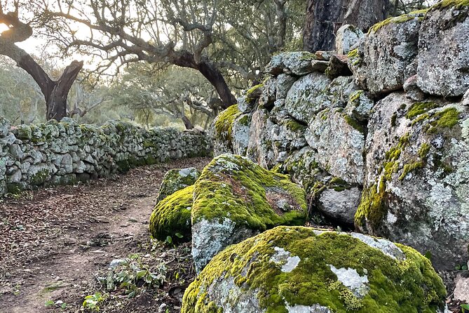 Nature Walks in Marvão: A Review