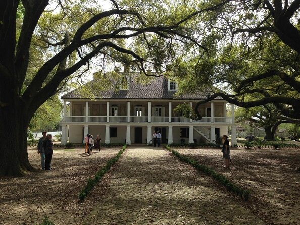N’Awlins Luxury: Whitney Plantation & Pontoon Swamp Tour W/Transportation