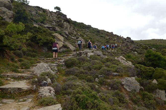 Naxos: Hike to the Top of the Cyclades – Mount Zas