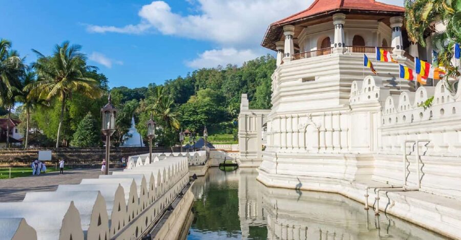 Negombo: Pinnawala & Kandy Day Tour With Tea Factory