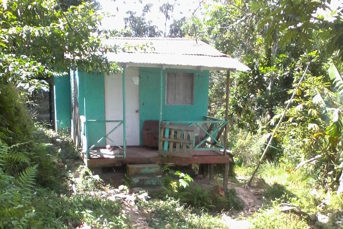 Negril Country Side Tour & Ricks Cafe