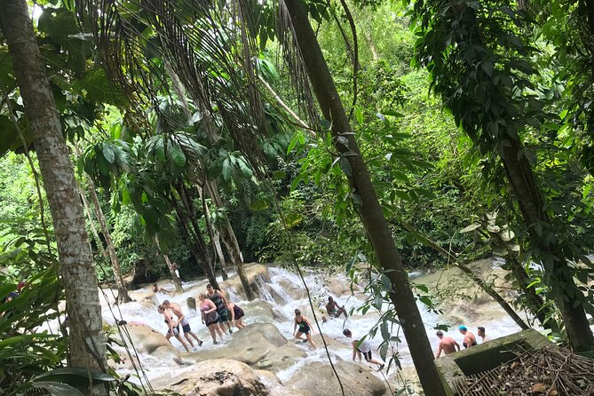Negril to Dunns River Small Group Tour