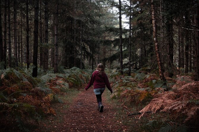 New Forest Tour App, Hidden Gems Game and Big Britain Quiz (7 Day Pass) UK