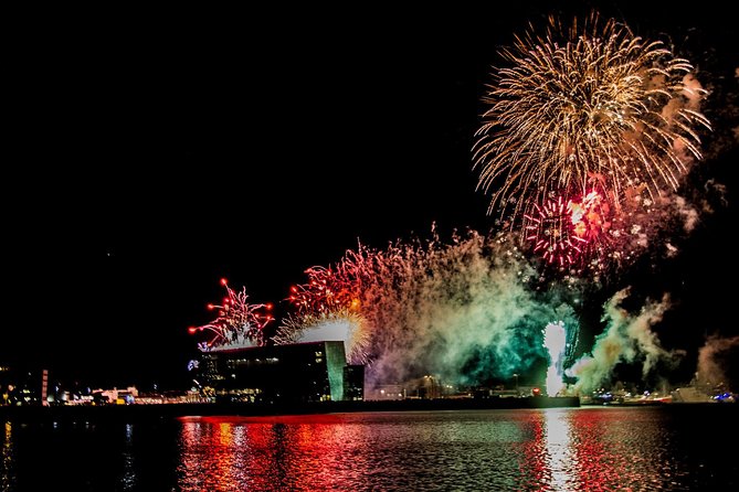 New Years Eve Fireworks Cruise in Reykjavik