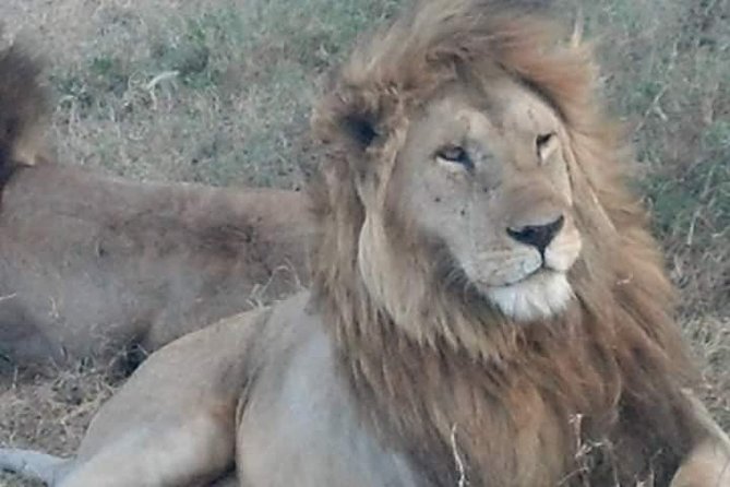 Ngorongoro, Manyara and Tarangire Tour