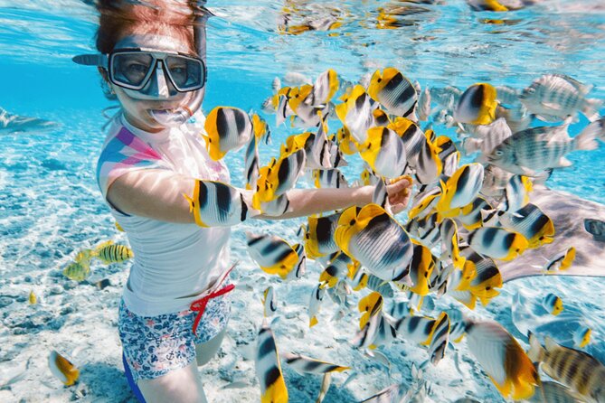 Nha Trang 3 Island VIP Tour