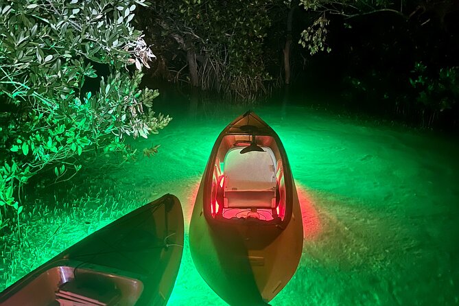Night Mangroves LED Tour on a Glass Bottom Kayak - Tour Overview