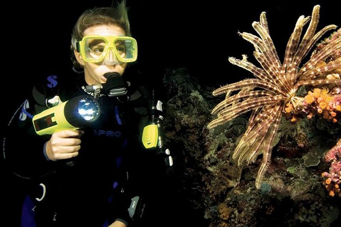 Night Shore Diving Mangel Halto Aruba for Certified Divers
