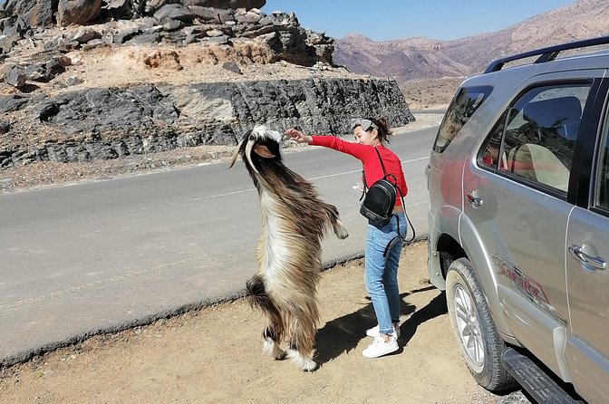 Nizwa. Hambra. Grand Canyon Oman