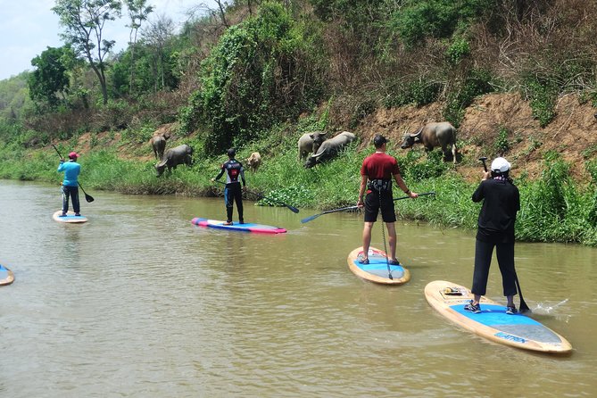 No.1 Chiang Mai: Stand up Paddle Board Through Mae Taeng Forest