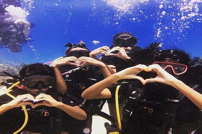 No Certification Required Scuba Dive and Island Tour With Guide