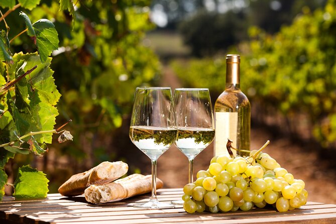 Northern Arizona Private Wine Tour South of Sedona – Verde Valley Wineries