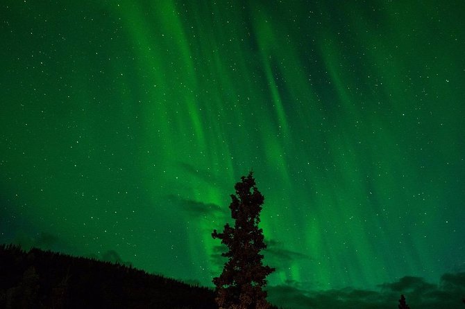 Northern Lights Hunting by Minibus