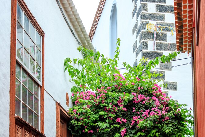 Northwest Tenerife Highlights Tour