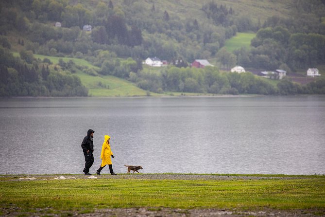 Norway: Voss and Gundvagen Private Tour  – Bergen