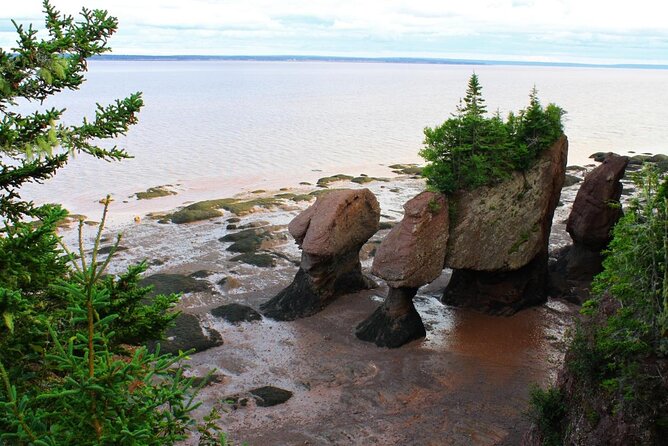 Nova Scotia Day Tour – Visit Peggys Cove, Lunenburg, and the Annapolis Valley.
