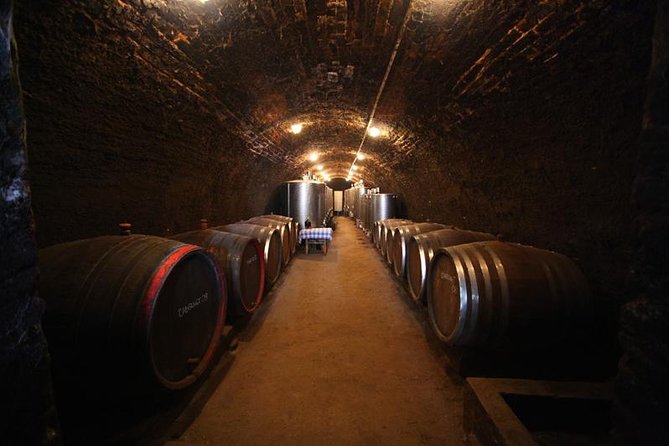 Novi Sad and Sremski Karlovci Private Tour With Wine Tasting
