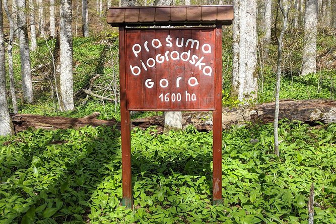 NP Biogradska Gora and Canyon Moraca (Private Tour)