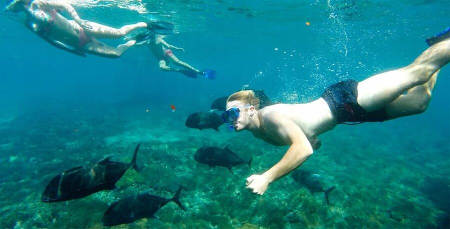 2 Best Tours In Tulamben