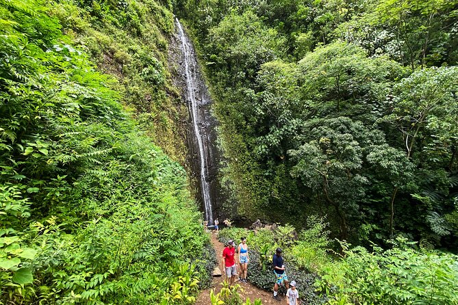 Oahu Private Hiking Tour