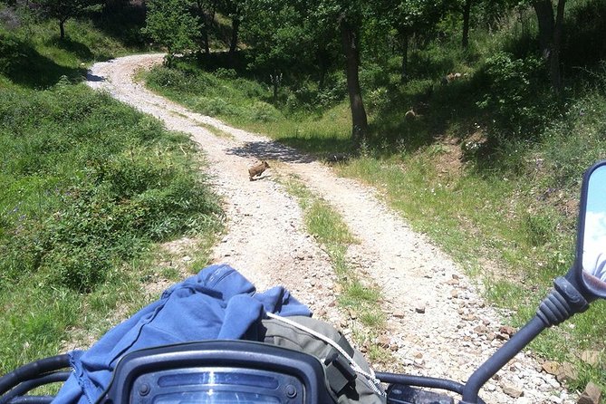 Offroad Cefalù Quad Tour