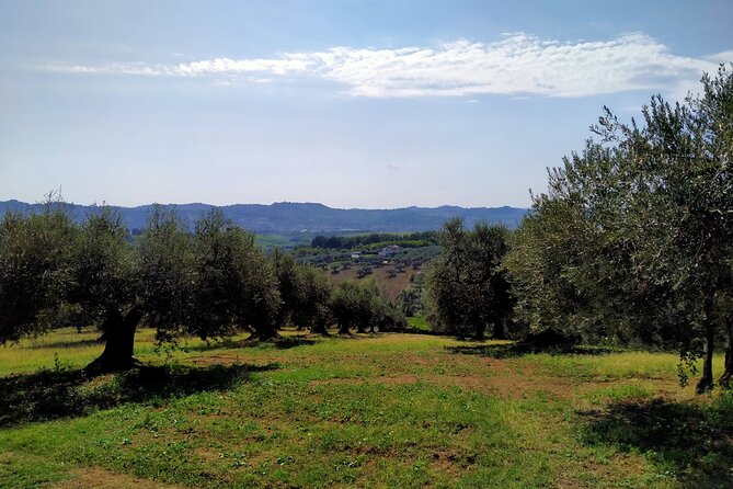2 Best Guided Tours In Abruzzo