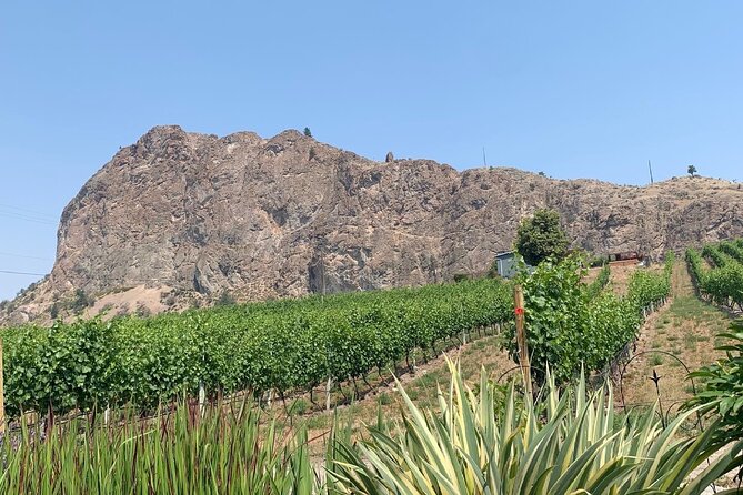 OK Falls Half Day Wine Tour- Incl. Tasting Fees & Guide Gratuity!
