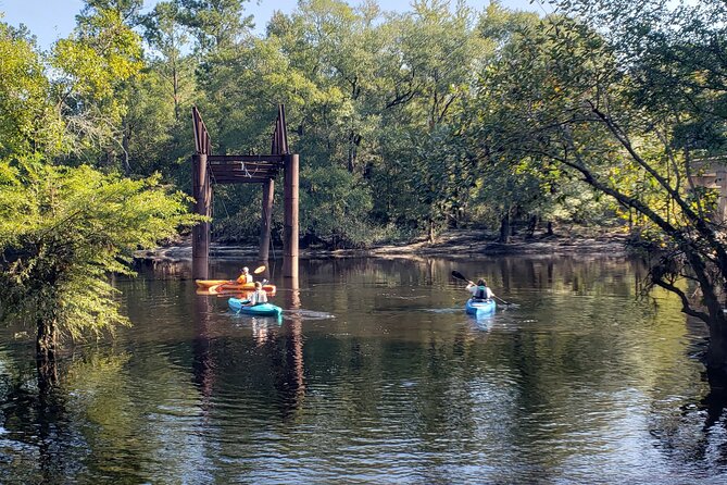 Okefenokee Swamp: Guided Kayak Tour With a Local Naturalist
