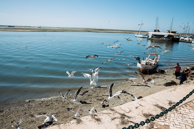 Olhao Authentic Tour: Market and Ria Formosa Natural Park