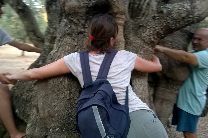Olive Oil Mill Experience and Tasting in Salento With Guide - Experience Overview