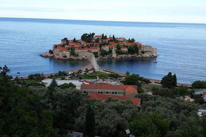 Olive Oil Tour With Tasting Wine & Traditional Food