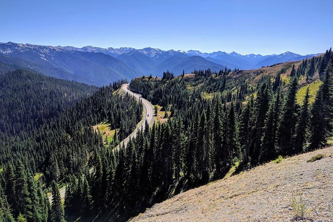Olympic National Park Luxury Small-Group Day Tour With Lunch
