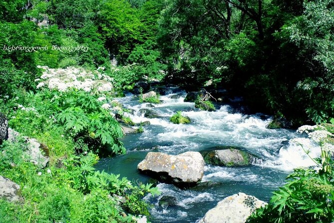 One-Day Dashbashi Canyon Guided Group Tour From Tbilisi