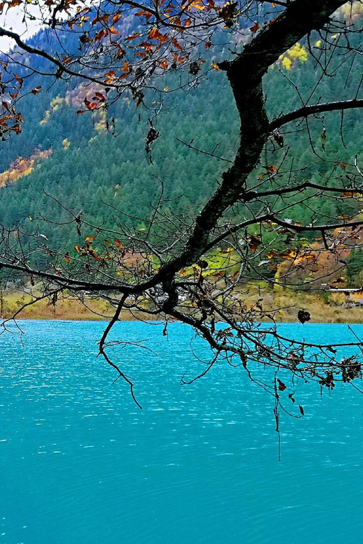 One Day Jade Dragon Snow Mountain Tour in From Lijiang