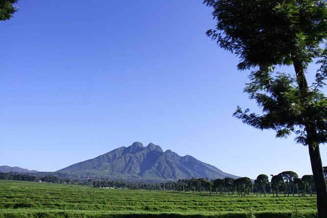 One Day Mount Bisoke Hike Adventure Tour in Volcanoes Park