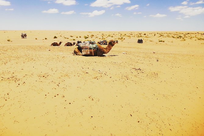 One Night Under the Tent: Tataouine - Chenini - Ksar Ghilane - Matmata - Exploring Tataouines Captivating Landscapes