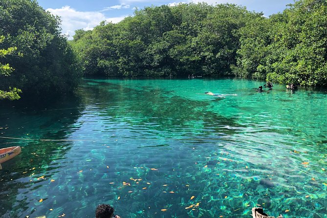 Open Water Course in Cenote & Ocean + 1 Cenote Dive From Playa Del Carmen