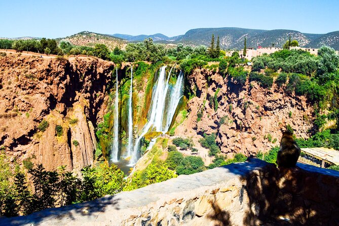 Ouzoud Waterfalls Guided Hike and Boat Trip - Highlights of the Tour