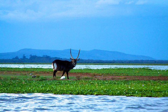 Overnight Tour to Mount Longonot and Hells Gate Naivasha