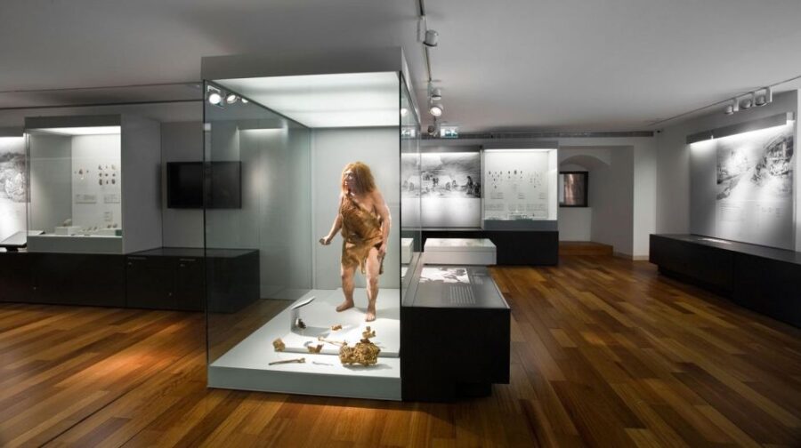 Oviedo : Archaeological and Fine Arts Museum Tour